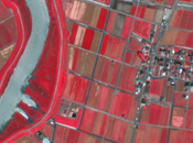 Google Bought Skybox Satellite Imaging Company $500 Million