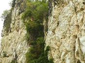 Poog Cliff: Jump-start Love Rock Climbing