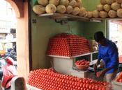 DAILY PHOTO: Tomato Place Russell Market