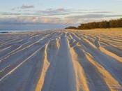 Moreton Island, Alphabetical Adventure: