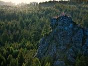 Protesters Halt Clearcut Strawberry Rock