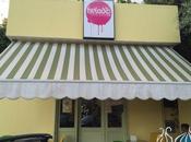 Helado… Pure Frozen Treats