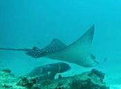 Water Themed Adventures Absolutely Must