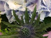 Flowers That Harmful Children Pets