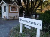 Sonoma County Winery: Benziger Family Vineyards