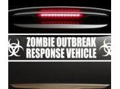 Strangest Bumper Stickers