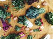 Bialas Farms CSA: Week