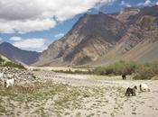 Life Valley: Trekking Through Zanskar