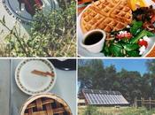 Instagram Lately: Farms, Fireworks Freedom Ringing