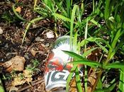 Litter, Call #beertography #BusinessCampusDecay #beer