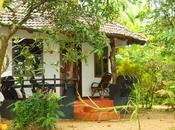 Banana Island Retreat, Chendamangalam, Perfect Place Spend Your Vacation Solitude