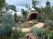 Dreamtime Garden