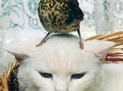 Stress Busters Guaranteed Make Smile!