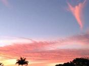 Sunday Devotional: Listen Lord