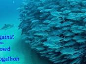 Blogathon: Against Crowd