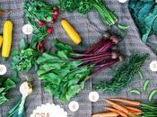 Bialas Farms CSA: Week