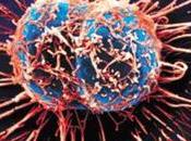 Forget Illness Wars PROFIT Real Cancer