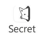 Secret.ly Bought $3,500 Sedo Months Raises Million $100M Valuation