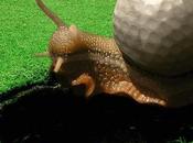 Still Enjoy #Golf Snail's Pace?