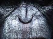 Dawn Planet Apes (2014) Review