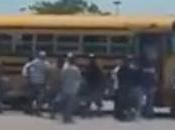Busloads ADULT Illegals Shop Walmart with Food Stamps
