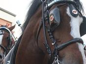 Update Further Thoughts "follow Jesus"? "saved Jesus?