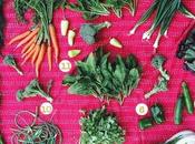 Bialas Farms CSA: Week