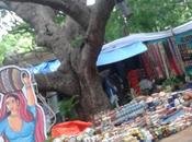 DAILY PHOTO: Under-Canopy Market