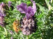 Winter's Pleasant Depths