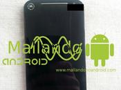 Motorola Preparing Moto