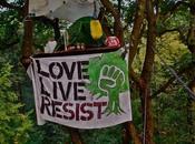 Hambacher Forest Occupation Call Solidarity