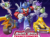 Autobirds Deceptihogs Team Angry Birds Transformers