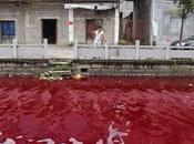 River China Runs Blood