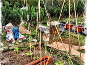 Growing Pains Allotment Tale