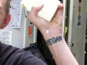 Biohackers Growing Real Cheese Lab, Needed