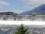 Simulation Model Make Hydroelectric Plants More Efficient