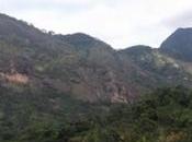 Tanzanian Conservationists Propose Ways Securing Eastern Mountain Forests BirdLife