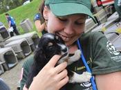 Commend Organizations Rescuing Animals From Puppy Mill