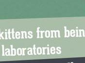 England: 8/8/14 ‘World Day’ BUAV Exposes Cats Born Labs Watch Footage, Please Sign Petition Lots More.