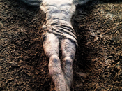 Christ Crucified Beach