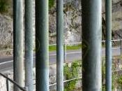 Follow (t)railing