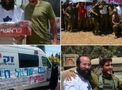 Shemesh's Angel, Avremi Kopp