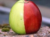 Strange, Rare Unusual Apples