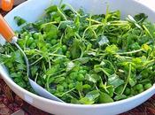 Mint Pepper Jelly Sweet Petite Peas