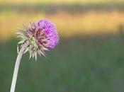 Should Protestants Prayer Beads? Part