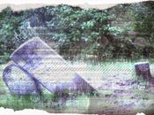 Playing with Online Photo Editors