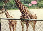 Have Away Order Miss Something.