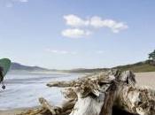 Surfing Destinations