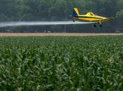 Tell USDA President Obama Stop Chemical’s “Agent Orange” Crops