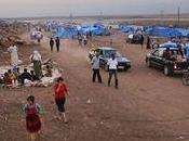 Focus President... Focus... Once